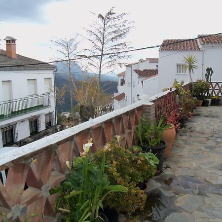 חנלגווסיל Apartamentos Rurales Jardines Del Visir מראה חיצוני תמונה