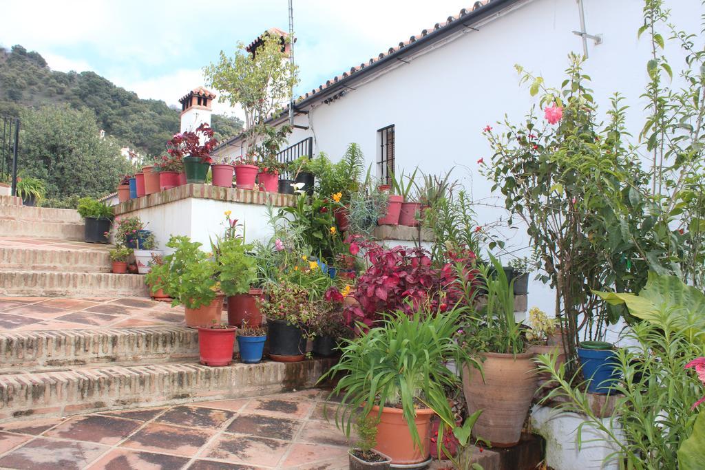 חנלגווסיל Apartamentos Rurales Jardines Del Visir מראה חיצוני תמונה